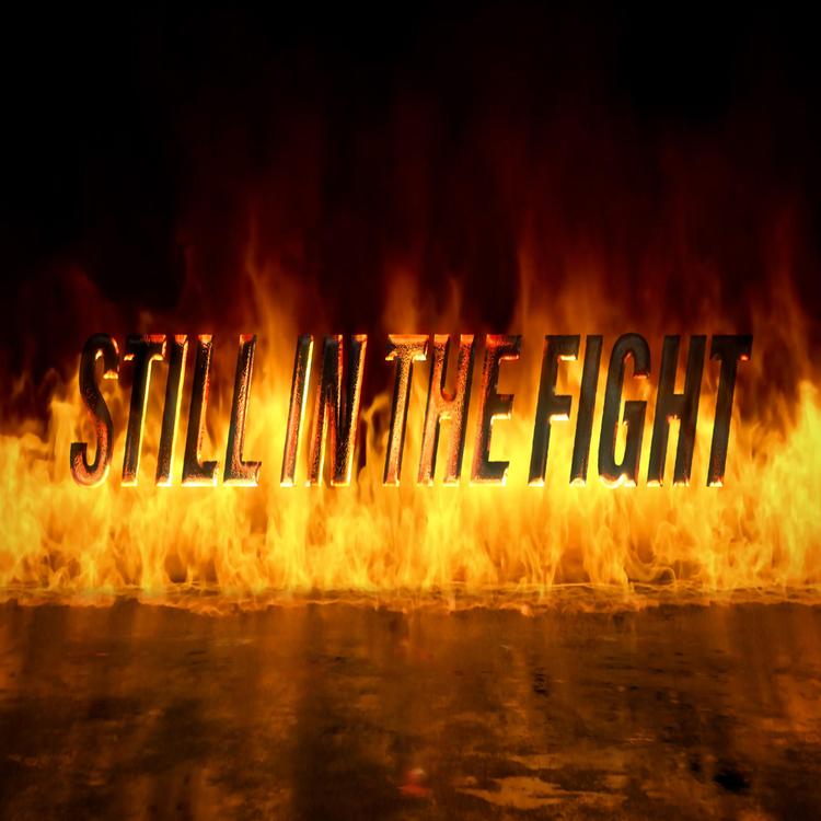 Still In The Fight's avatar image