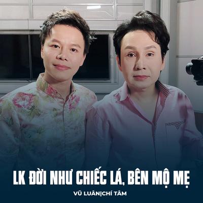 LK Đời Như Chiếc Lá, Bên Mộ Mẹ's cover