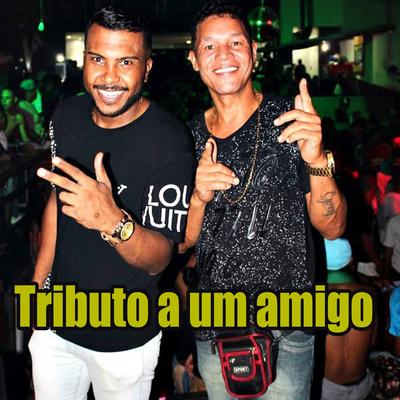 Tributo a um Amigo's cover