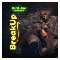 Bird Joe's avatar cover