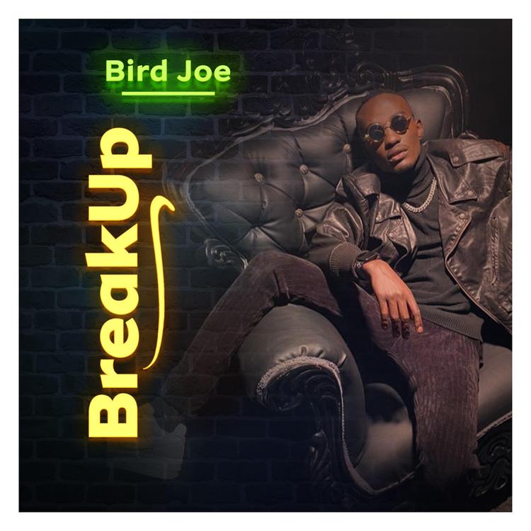 Bird Joe's avatar image