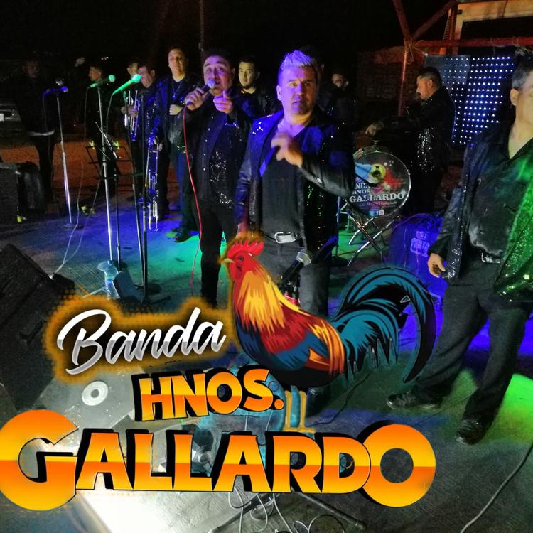 Banda Hnos. Gallardo's avatar image