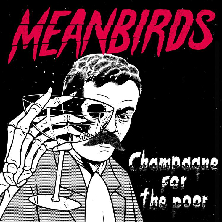 Meanbirds's avatar image