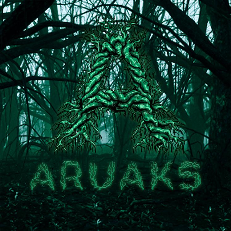 Aruaks's avatar image