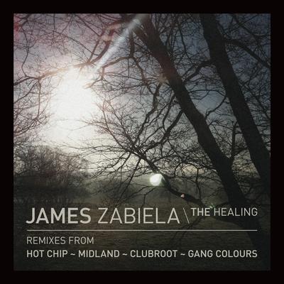 The Healing By James Zabiela's cover