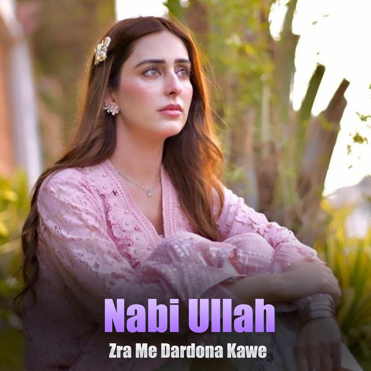 Nabi Ullah's avatar image