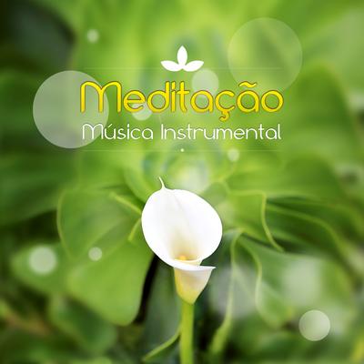 Música Instrumental By Meditação e Espiritualidade Musica Academia's cover