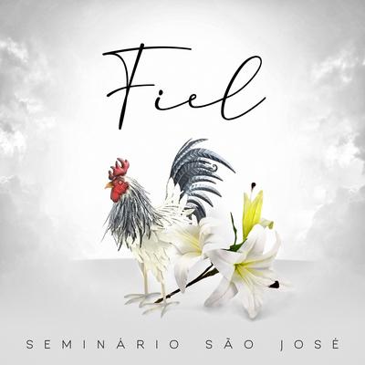 Fiel By Seminário São José's cover