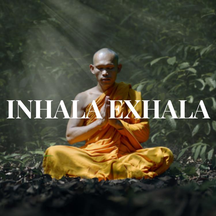 Meditación zen's avatar image