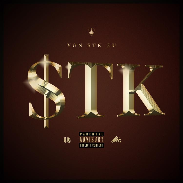 STK's avatar image