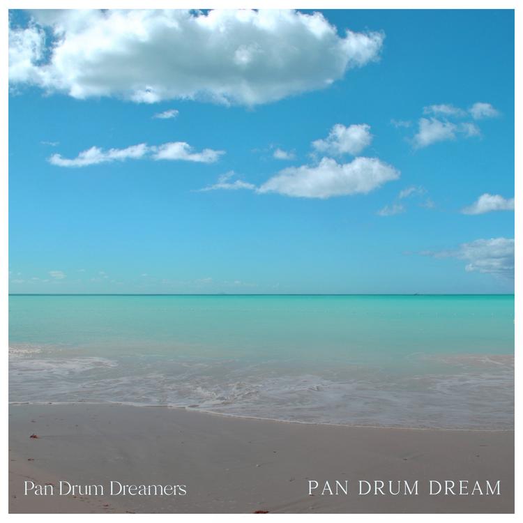 Pan Drum Dreamers's avatar image