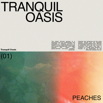 Peaches By Tranquil Oasis's cover