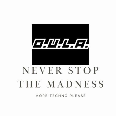 Never Stop The Madness's cover