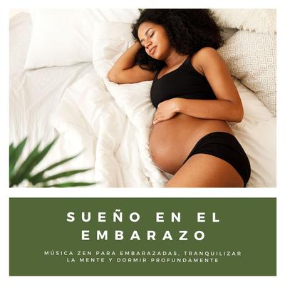 Sueño en el Embarazo's cover