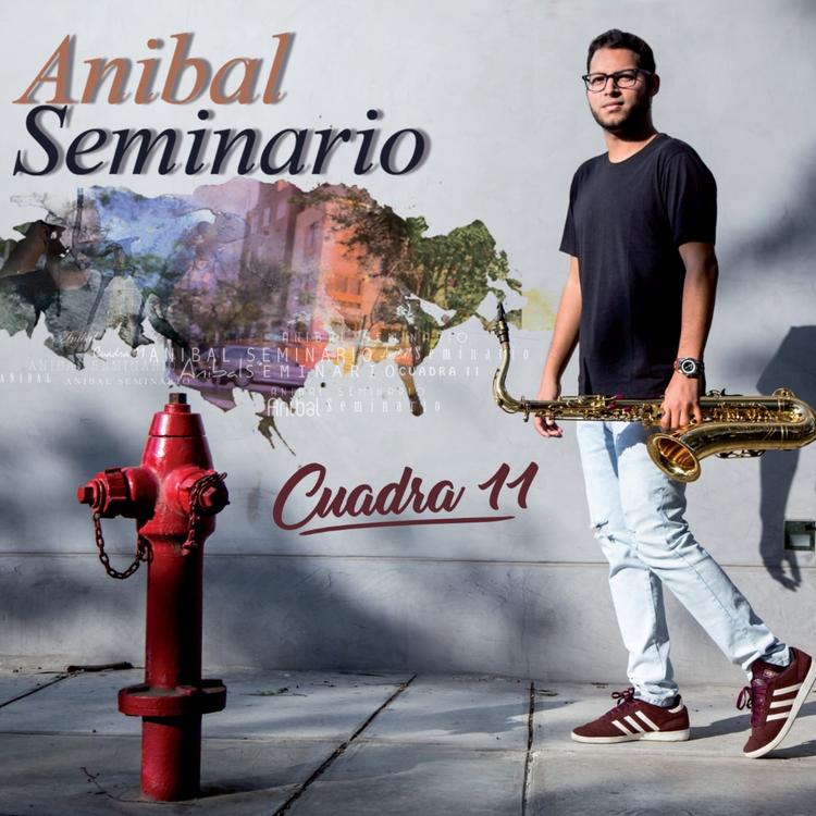 Anibal Seminario's avatar image