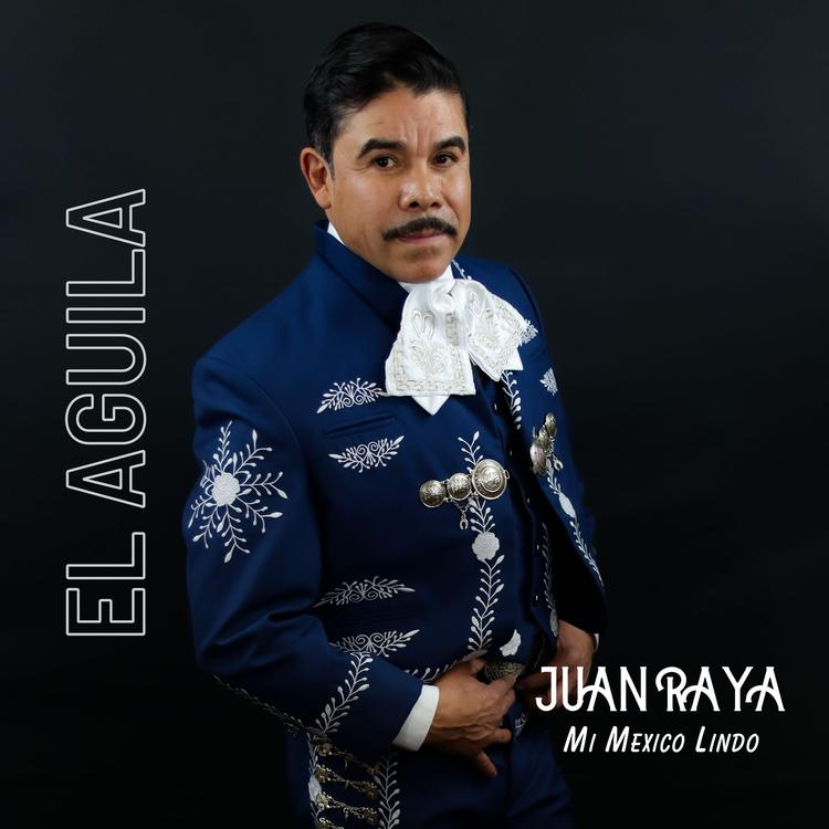 Juan Raya's avatar image