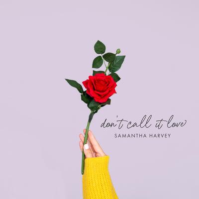 Don't Call It Love By Samantha Harvey's cover