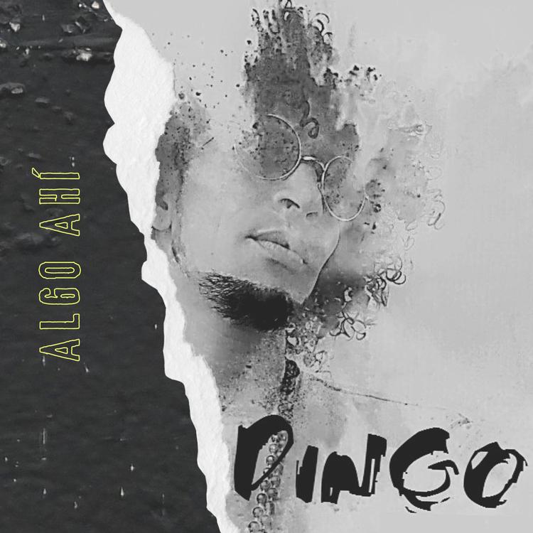 Dingo's avatar image