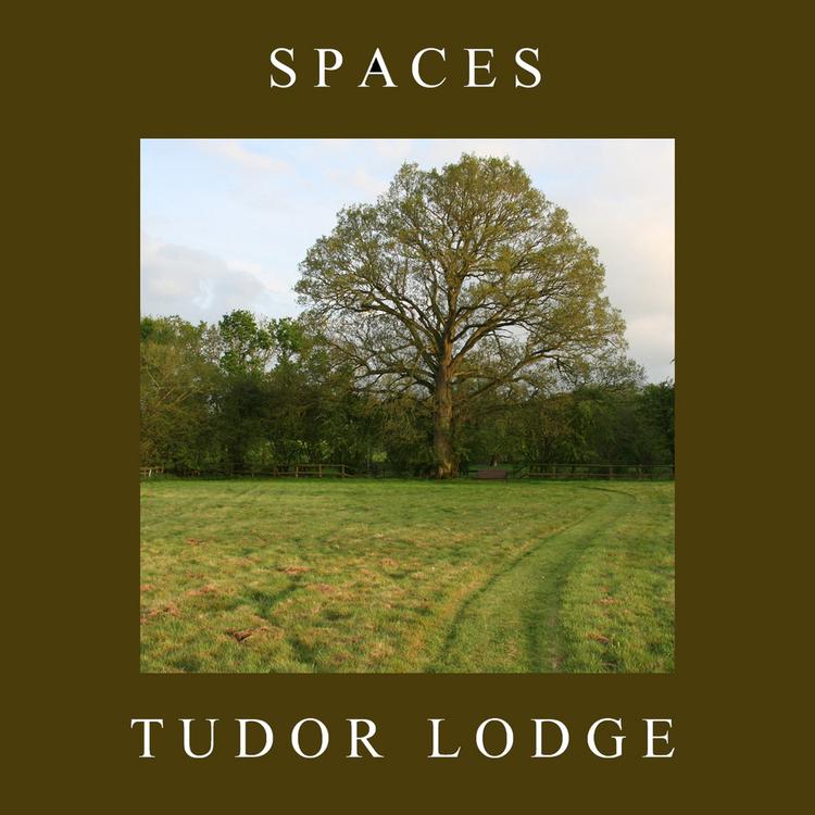 Tudor Lodge's avatar image