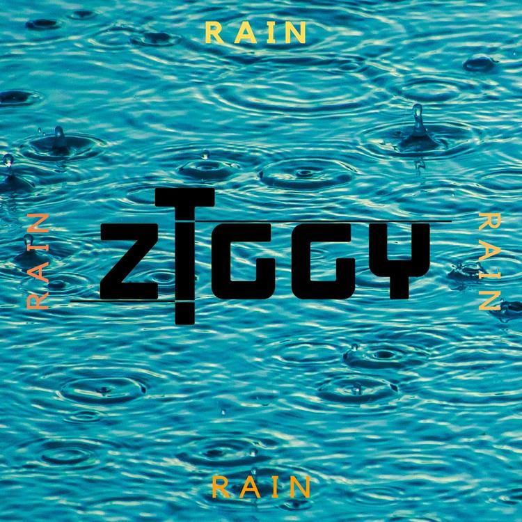 Ziggy T's avatar image