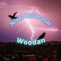Woodan's avatar cover
