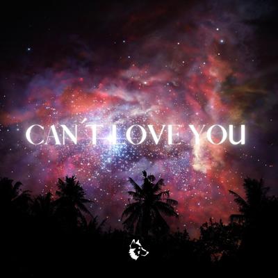 Can't Love You Anymore (Slowed + Reverb)'s cover