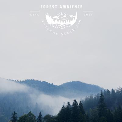 Green Adventure By Forest Ambience Natural Sleep Aid's cover