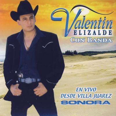 En Vivo Desde Villa Juarez Sonora's cover