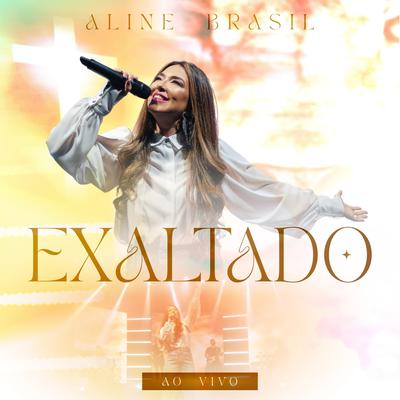 Vale a Pena Viver (Ao Vivo) By Aline Brasil's cover