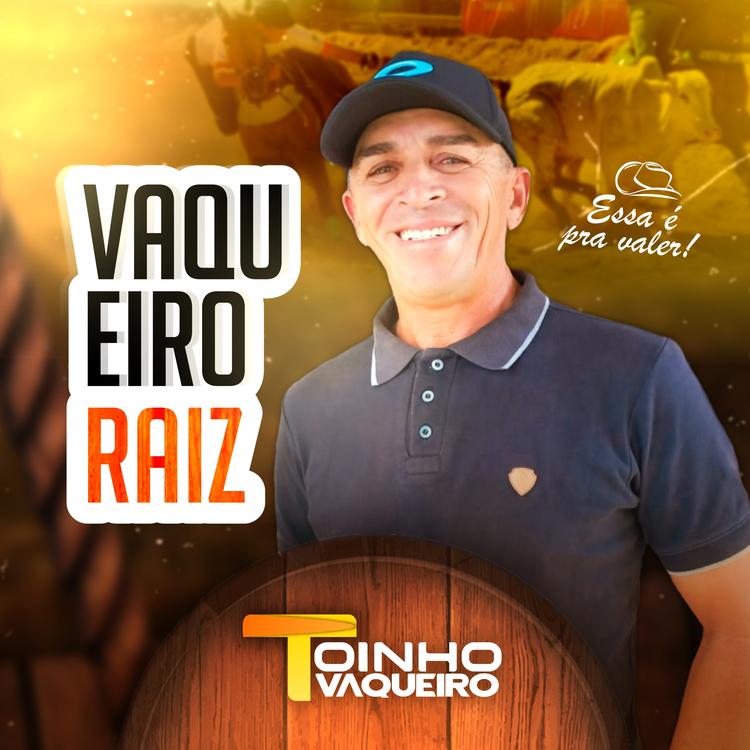 Toinho Vaqueiro's avatar image