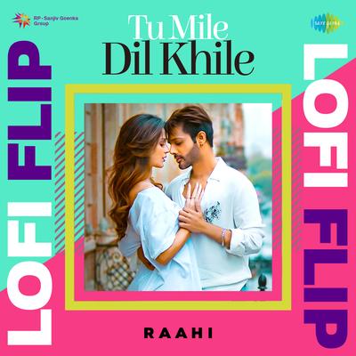 Tu Mile Dil Khile LoFi Flip's cover