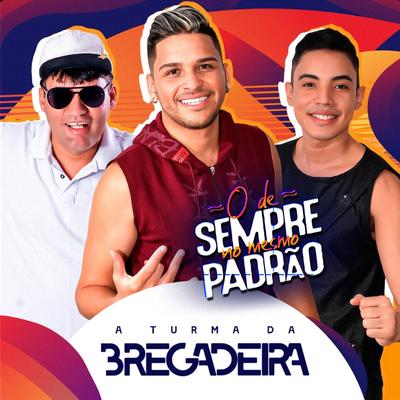 Poc Poc Empurra By Turma da Bregadeira's cover