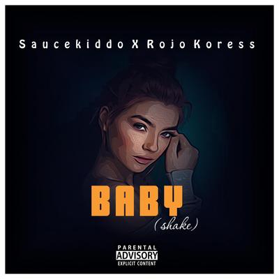Baby(shake) (feat. Rojo Koress)'s cover