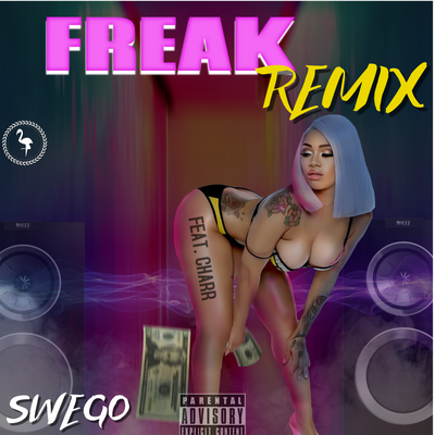 Freak (Remix)'s cover