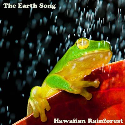 Rain in Kauai By The Earth Song's cover