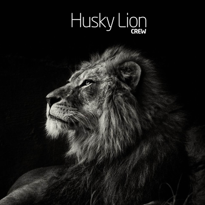 O Bad Boy Voltou By Husky Lion's cover