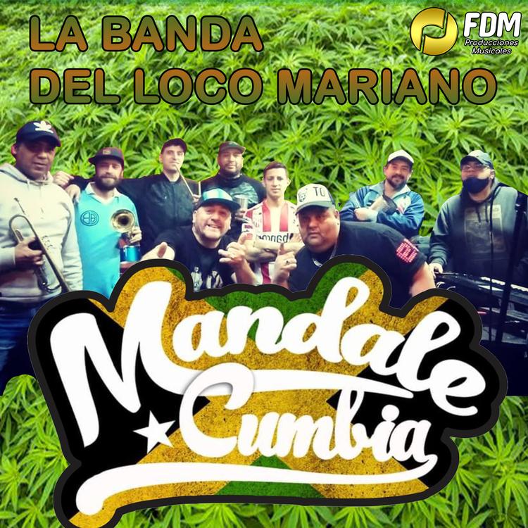 Mandale Cumbia's avatar image