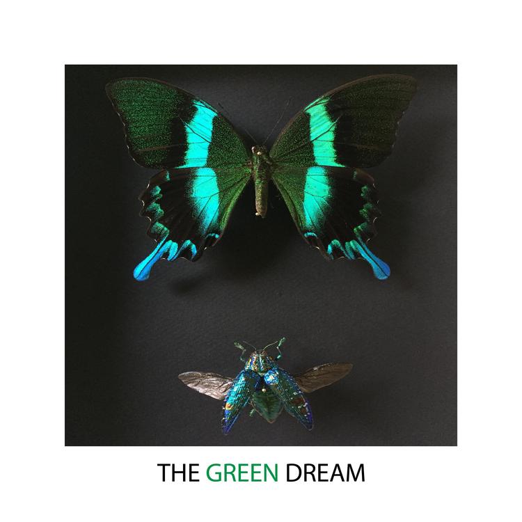 The Green Dream's avatar image
