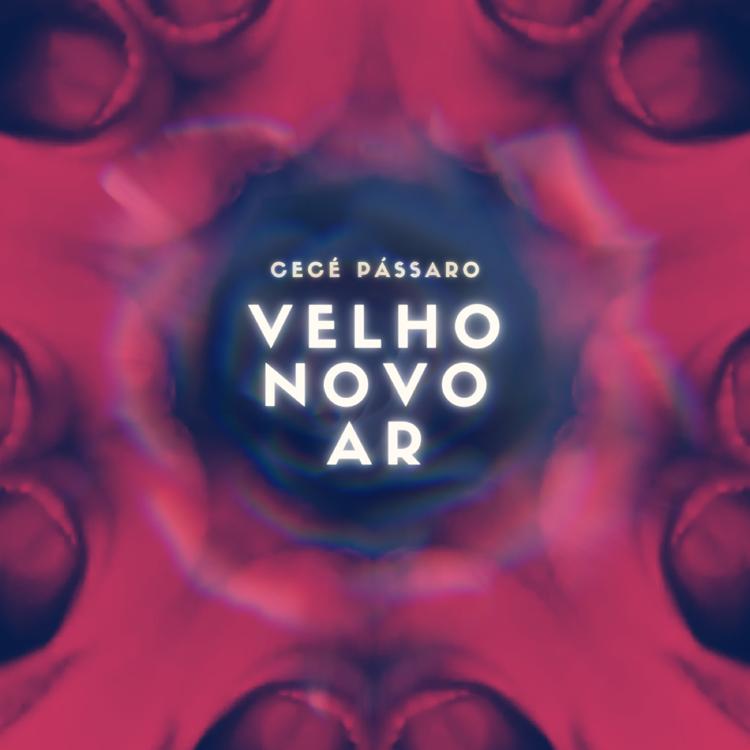 Cecé Pássaro's avatar image