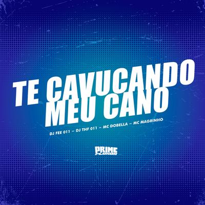 Te Cavucando Meu Cano's cover