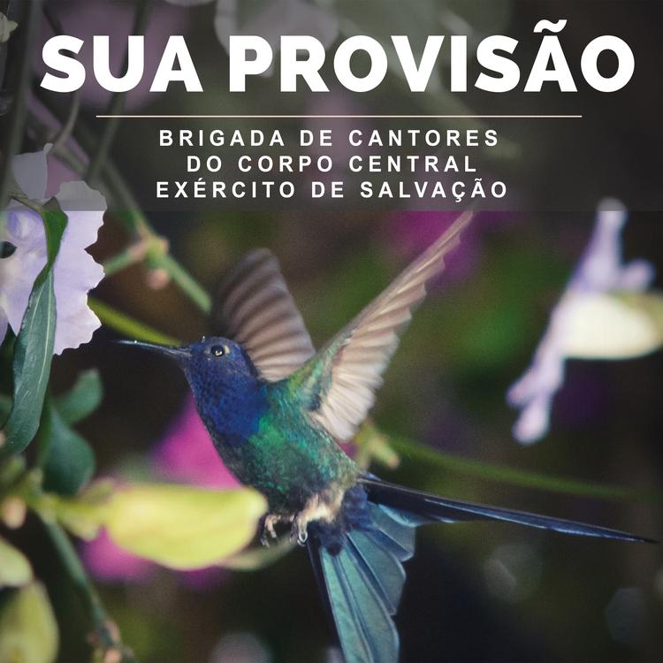 Brigada de Cantores do Corpo Central – Exército de Salvação's avatar image