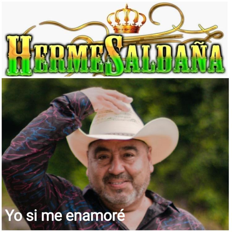 Hermes Saldaña's avatar image