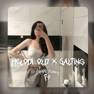 DJ MELODI KANE X SALTING's cover