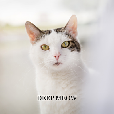 Deep Meow (Jazz for Cats)'s cover