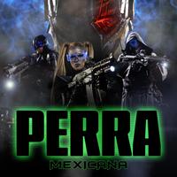 Mexicana's avatar cover