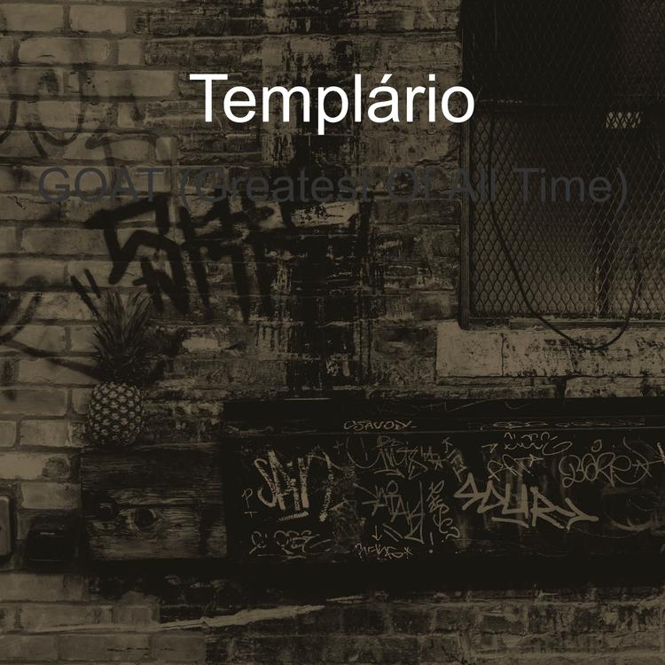 Templário's avatar image