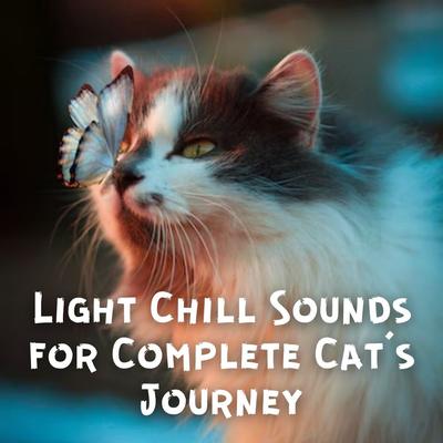 Light Chill Sounds for Complete Cat's Journey's cover