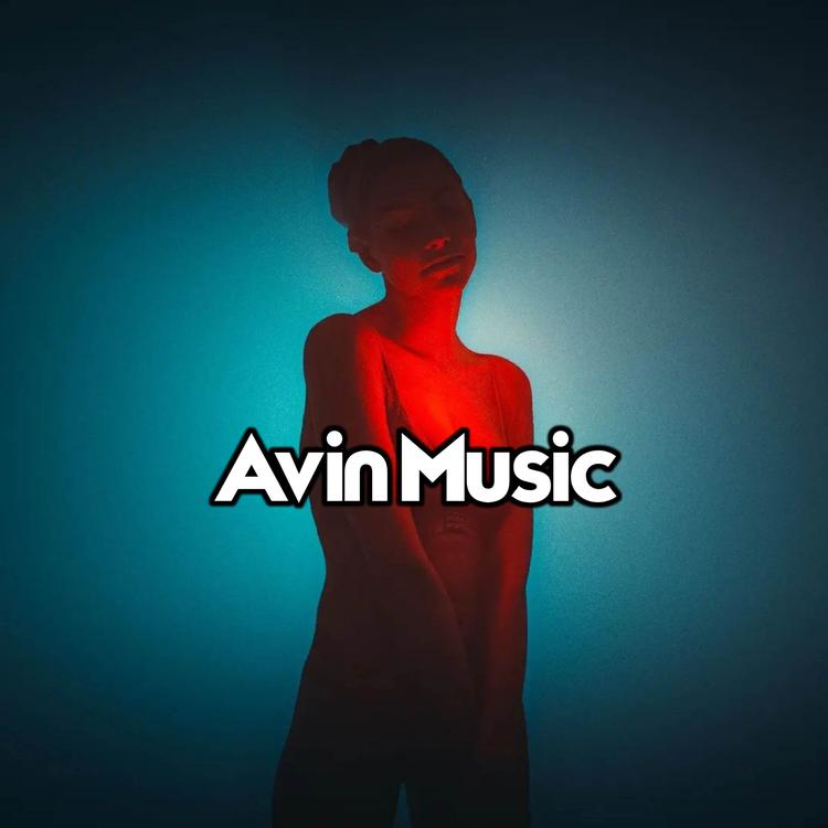 Avin Music's avatar image