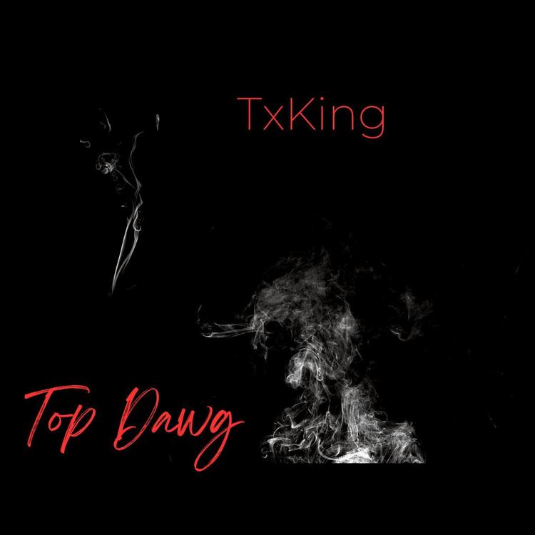 TxKing's avatar image