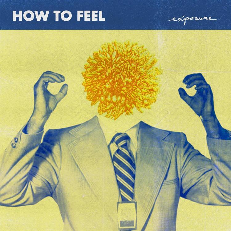 How to Feel's avatar image